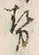 「勢」字