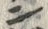 文字ビ