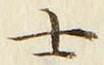 𡨸士