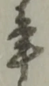 位置 確認된 再
