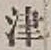 字津