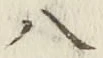 “八”字
