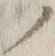 字ノ