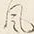 Character 風