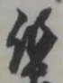 位置定マレル柄