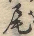 Located 尾