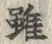 Character 雖