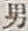 文字男