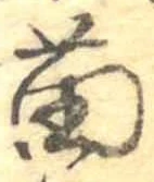 苗の位置