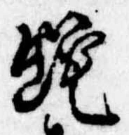 位置 確認된 蛇