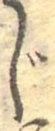 Located じ