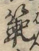Đã định vị 範