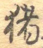 已定位猪