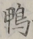字鴨