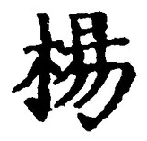 글자 楊