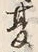 Character 秋