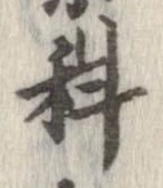 位置定マレル科