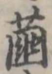 位置 確認된 繭