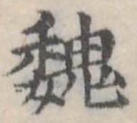已定位魏