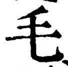 字毛
