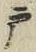 文字 戸