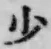 字少