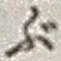Chữ ぶ