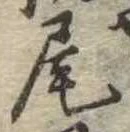 Located 尾