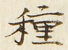 Chữ 種