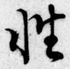 Đã định vị 性
