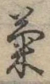 已定位菊