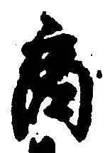 文字商