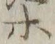 字渠