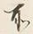 𡨸な