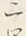 字二