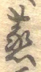 蒸の位置
