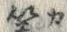 Character 算