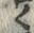 “白”字