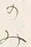 Character 食