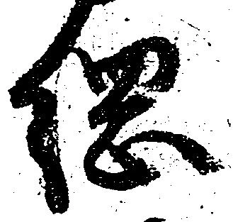位置 確認된 綱