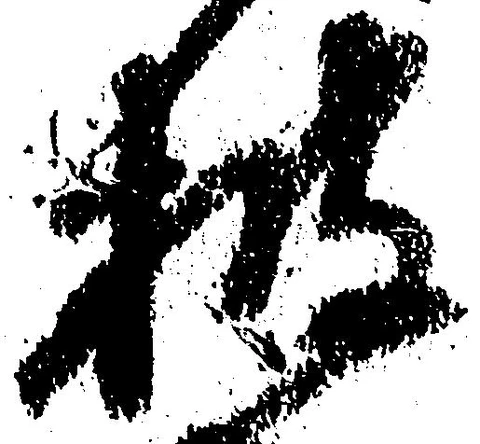 位置 確認된 披