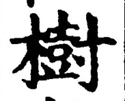 「樹」字