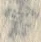 字染