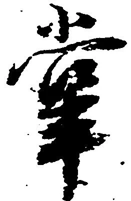 位置定マレル掌