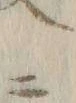字録