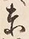 Chữ 東