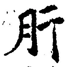 Located 肝