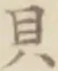 文字貝
