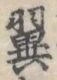 已定位翼