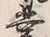 字業